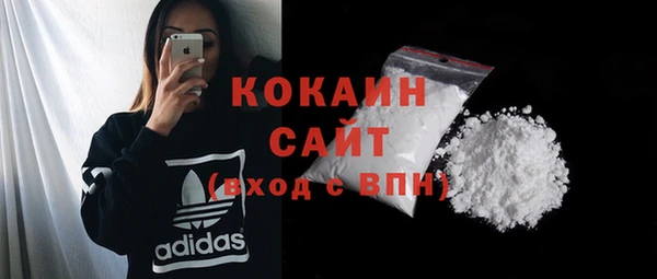 гашик Балахна