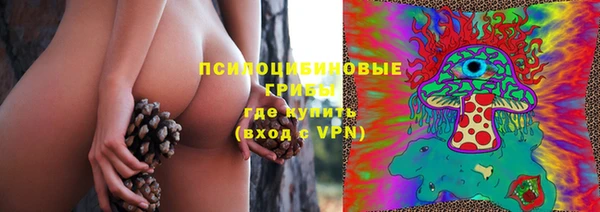 гашик Балахна